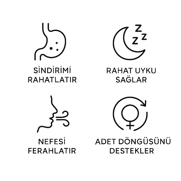 Anason Uçucu Yağ resmi