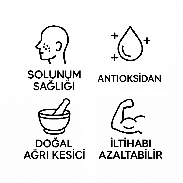 Mür Uçucu Yağ resmi