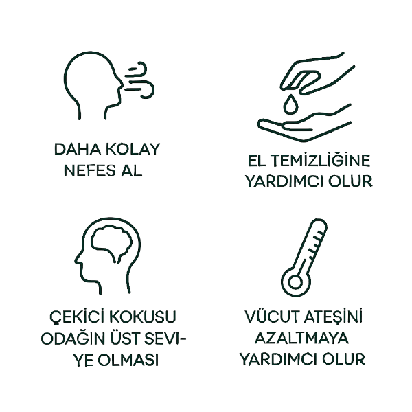 Okaliptus Uçucu Yağ resmi