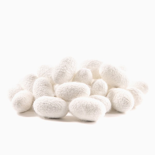 İpek Kese - Koza Seti resmi